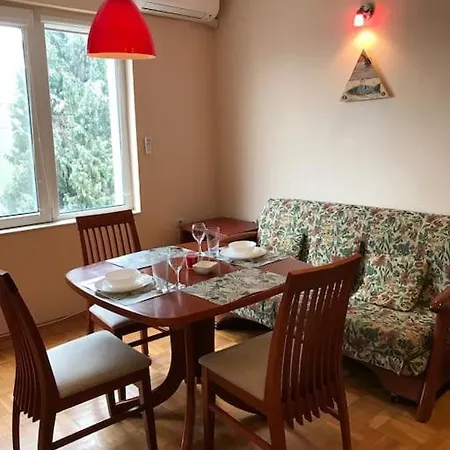 Apartment Star Ray *