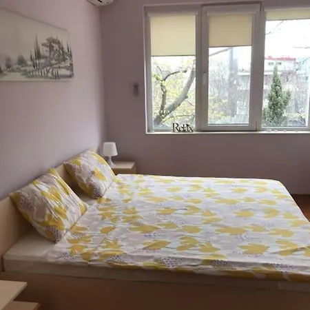 Star Ray Apartment *